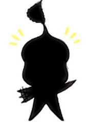 �T�N�������